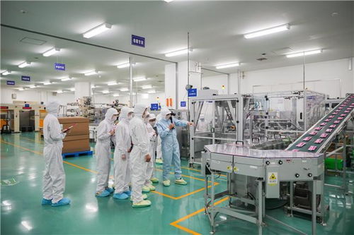 格力高入華三十周年首啟工廠開(kāi)放日 智能制造與綠色生產(chǎn)共筑健康未來(lái)暗流場(chǎng)案例解析——加藥泵的精密化與可持續(xù)性挑戰(zhàn)