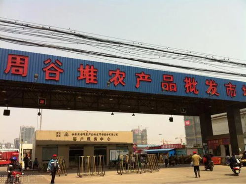 1992年的合肥 18張照片里的食用農(nóng)產(chǎn)品批發(fā)市場