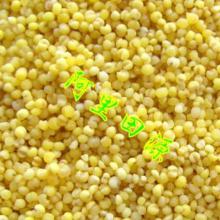 小米產(chǎn)業(yè)全景 從田間到餐桌的價格、批發(fā)與廠家深度解析